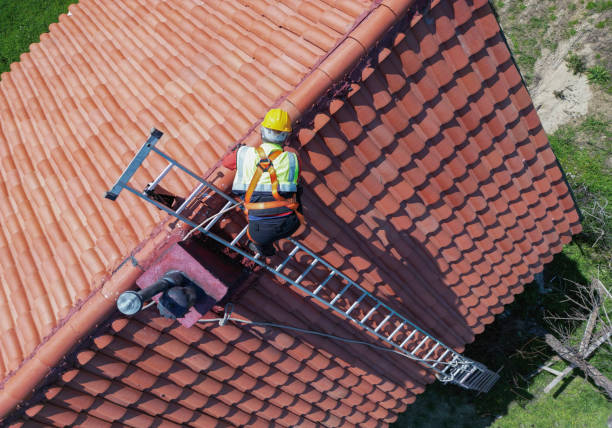 Best Steel Roofing  in Corning, IA